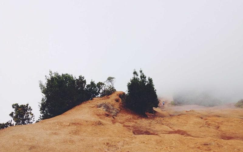 Natación bebés y niños - Boedo