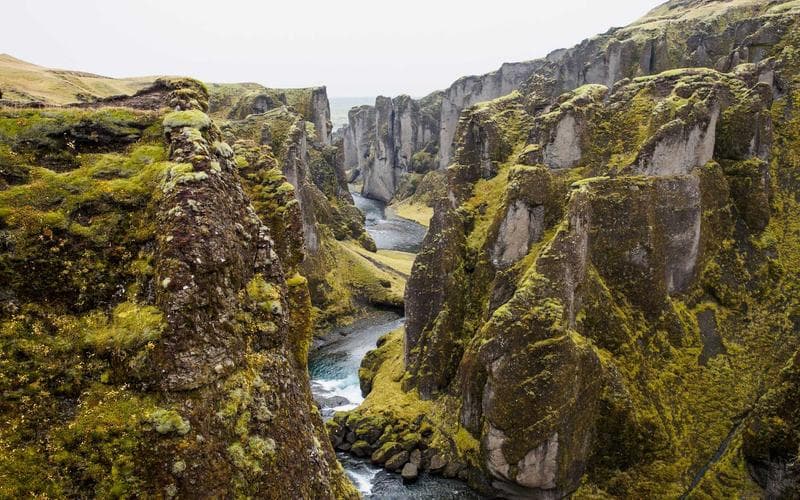 Ukelele para niños - Monte Castro