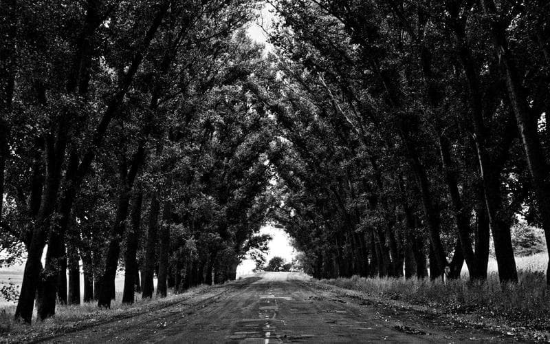 Meditación y mindfulness - Liniers